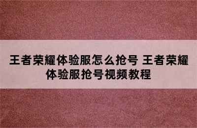 王者荣耀体验服怎么抢号 王者荣耀体验服抢号视频教程